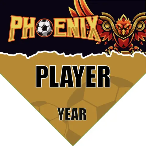 Phoenix Soccer Banner-soccer-banner-size-picture