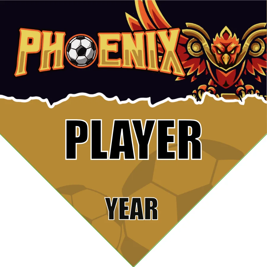 Phoenix Soccer Banner-soccer-banner-size-picture
