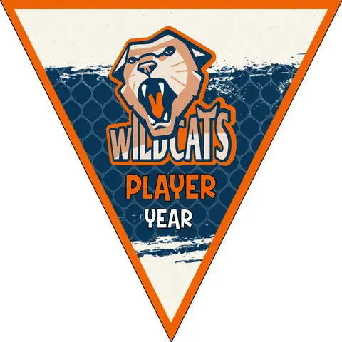 Wildcats Soccer Banner,-soccer-party-banner-picture