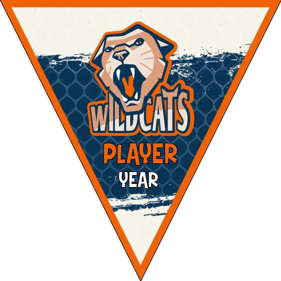 Wildcats Soccer Banner,-soccer-party-banner-picture