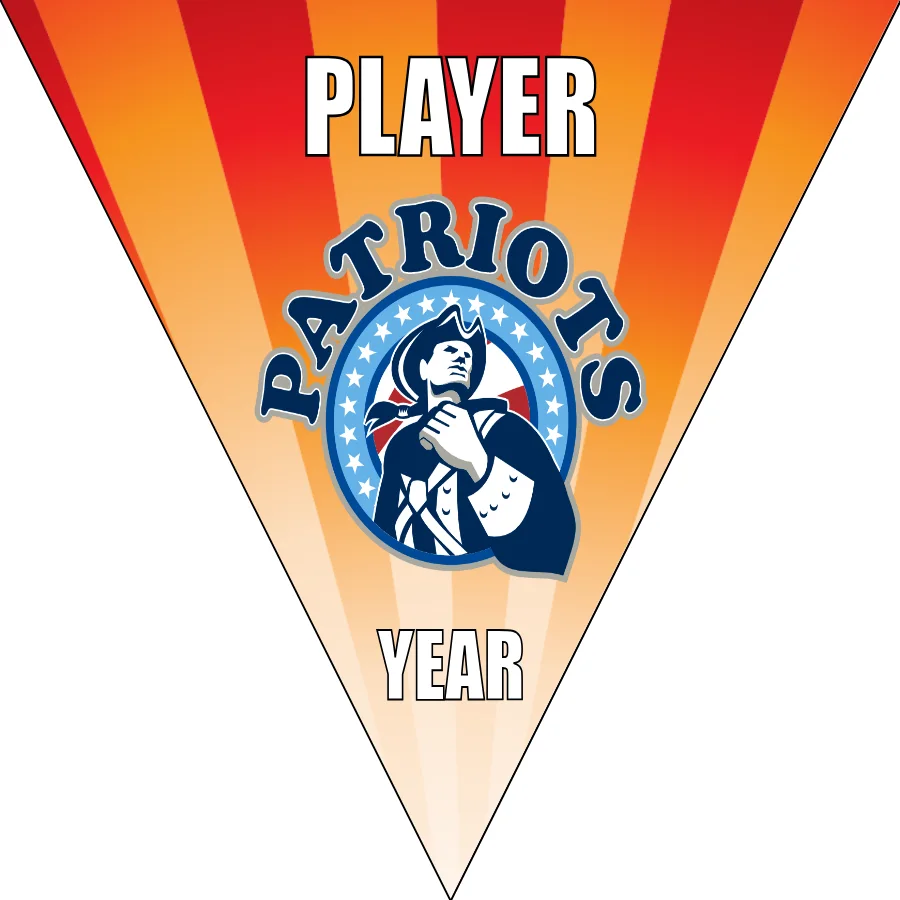 Patriots Soccer Banner-soccer-banners-sacramento-picture