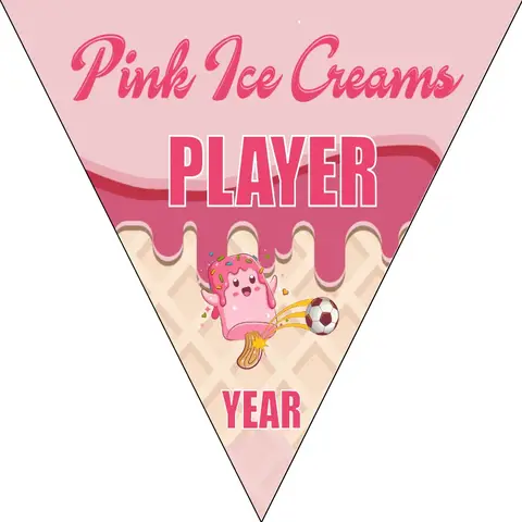 Pink Ice Creams Soccer Banner-homemade-soccer-banner-ideas-picture