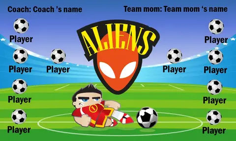 Allien Soccer Banner-soccer-banner-san-diego-picture