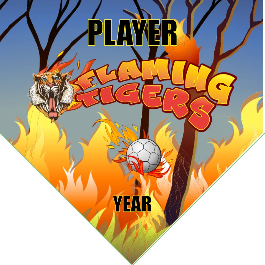 Tigers Flaming Soccer Banner-soccer-team-banner-picture