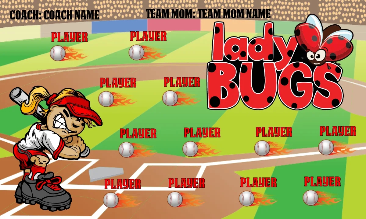 LADYbugs Softball Banner-softball-banner-photos-images