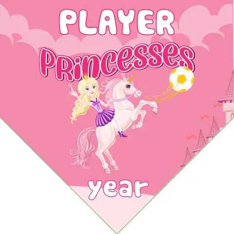 Princess Banner Soccer-banner-soccer-image