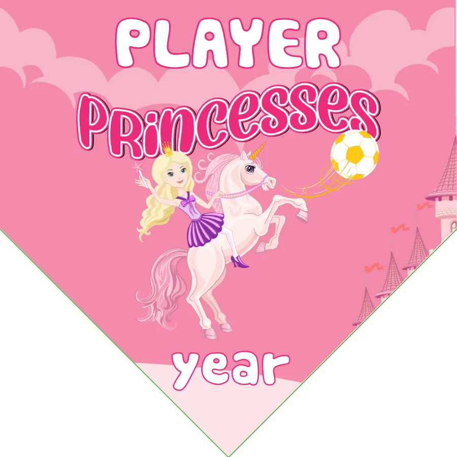 Princess Banner Soccer-banner-soccer-image