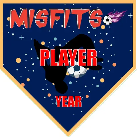 Misfits Soccer Banner-soccer-banner-pole-kit-picture