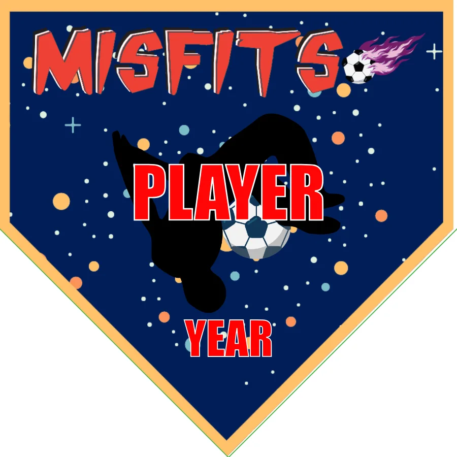 Misfits Soccer Banner-soccer-banner-pole-kit-picture