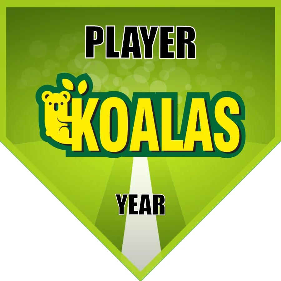Koalas Soccer Banner-soccer-banners-ventura-ca-picture