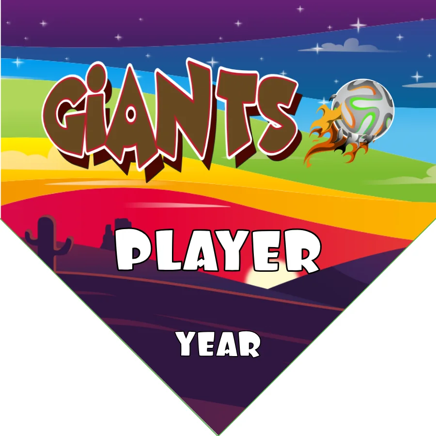 Giants Soccer Banner-handmade-soccer-banners-picture