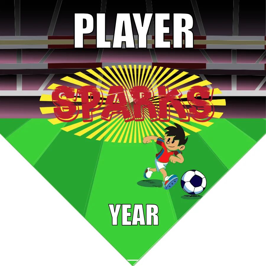 Sparks Soccer Banner-soccer-banner-picture