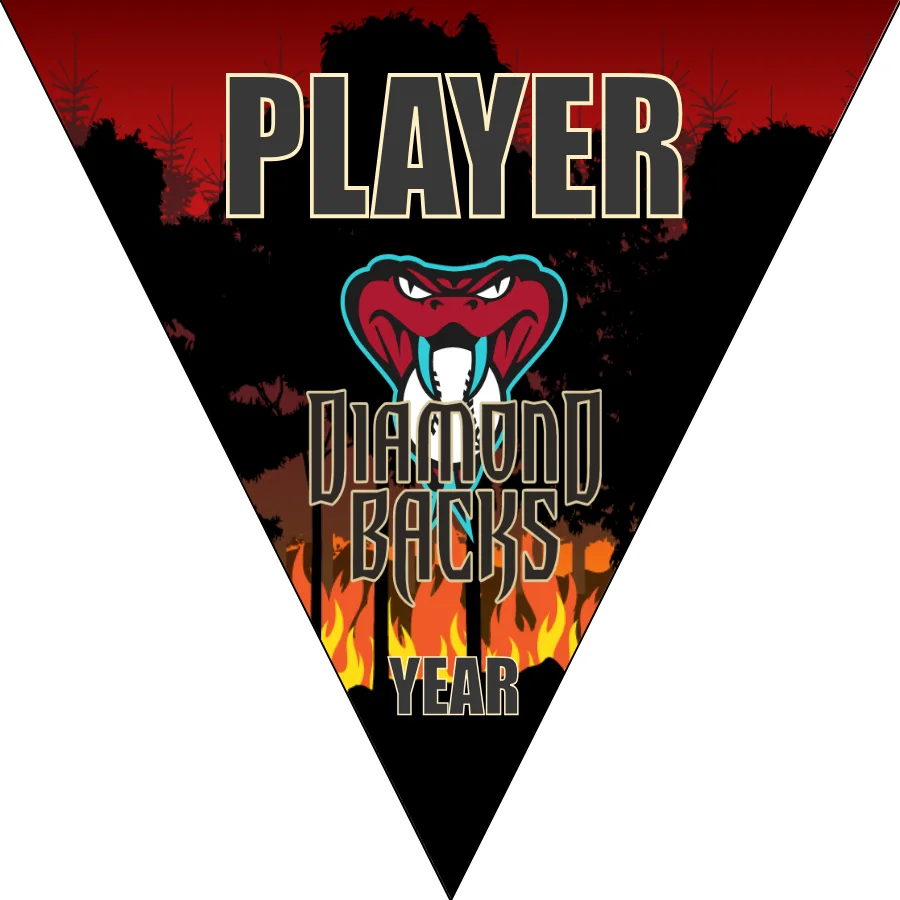 Arizona Diamondbacks 2 Baseball Banner-baseball-baby-shower-banner-images