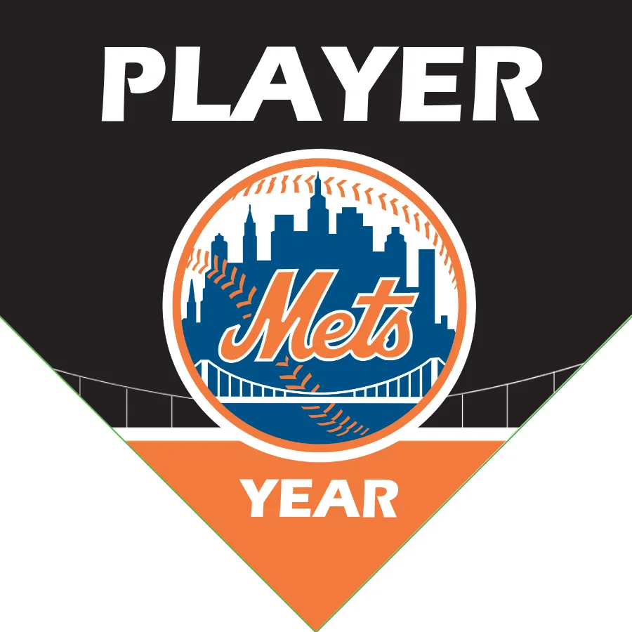 Mets 2 Baseball Banner-modern-baseball-banner-images