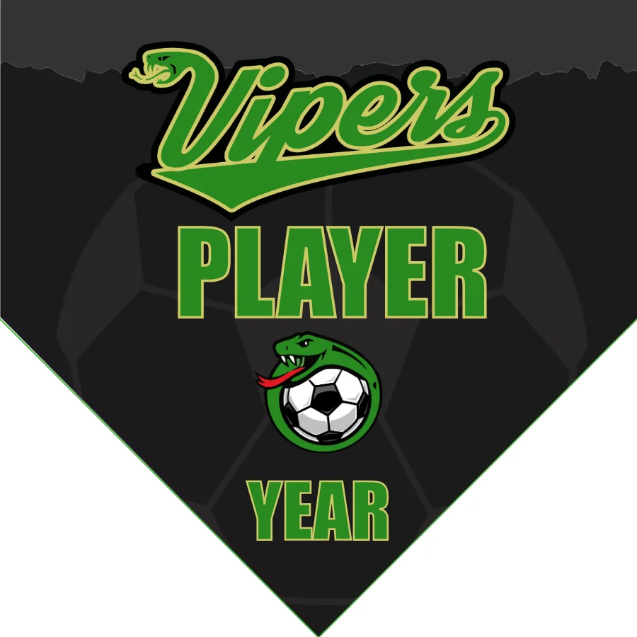 Vipers 1 Soccer Banner-homemade-soccer-banner-ideas-picture