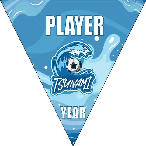 Tsunami 1 Soccer Banner-soccer-banner-stand-picture