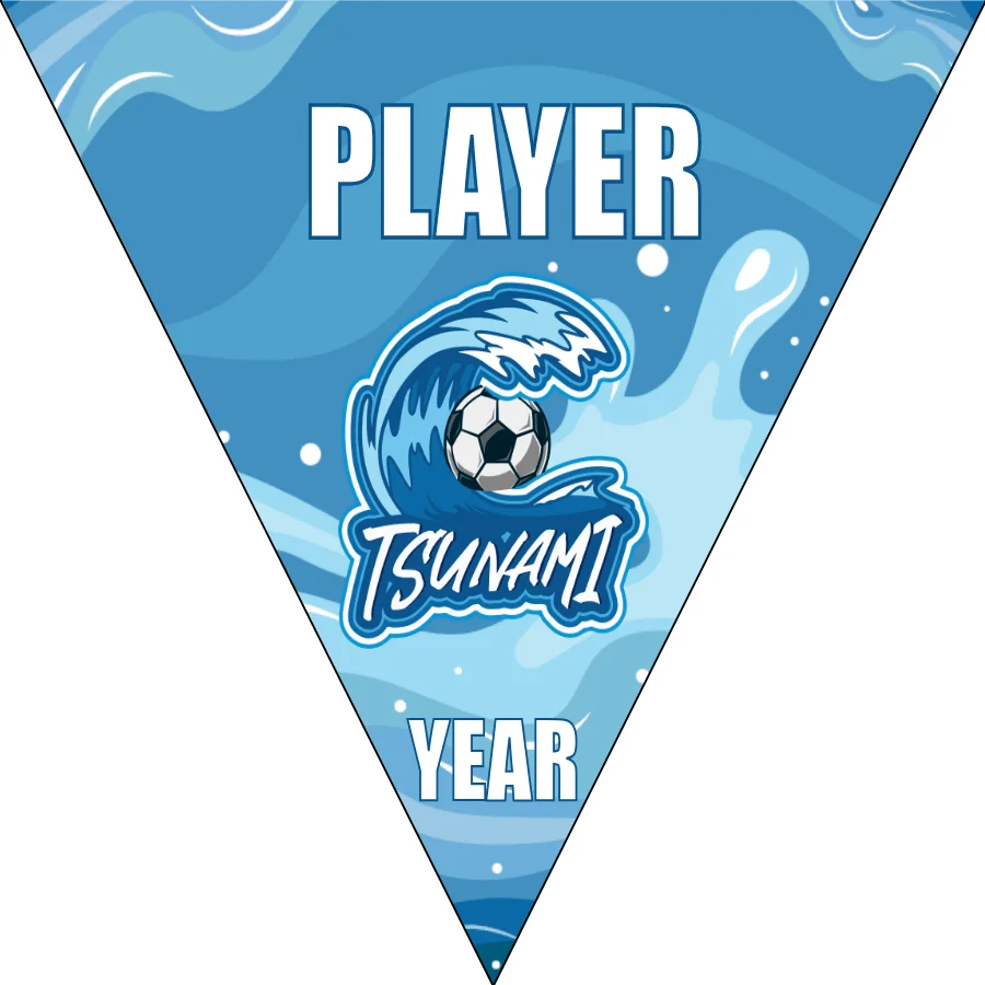 Tsunami 1 Soccer Banner-soccer-banner-stand-picture