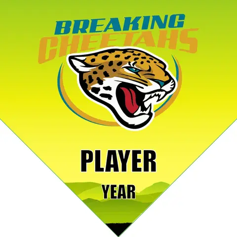 BreakingCheetahs Soccer Banner-eagles-soccer-banner-picture