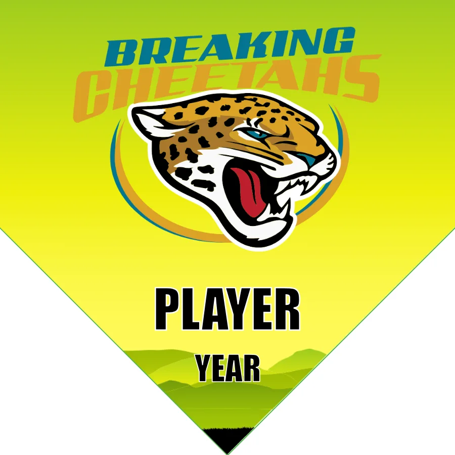 BreakingCheetahs Soccer Banner-eagles-soccer-banner-picture