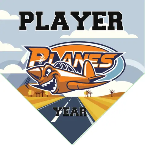 Planes Softball Banner-homemade-softball-team-banners-images