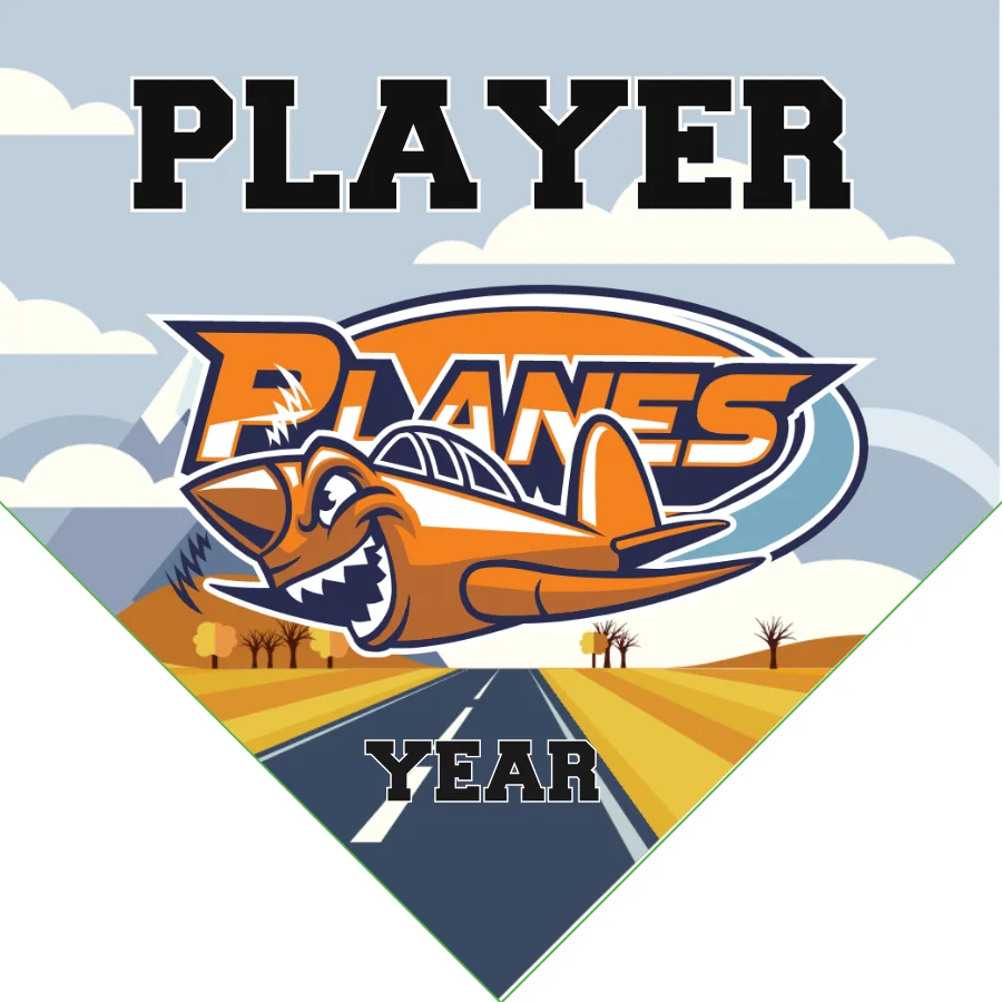 Planes Softball Banner-homemade-softball-team-banners-images