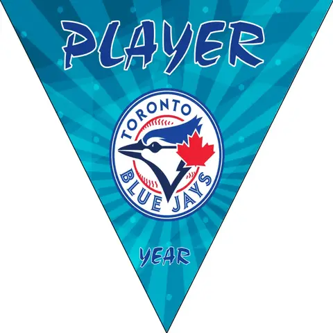 Toronto Baseball Banner-baseball-banner-with-sponsors-images