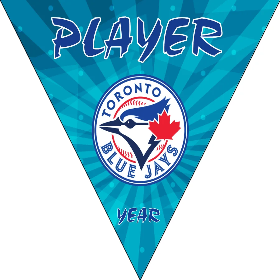 Toronto Baseball Banner-baseball-banner-with-sponsors-images