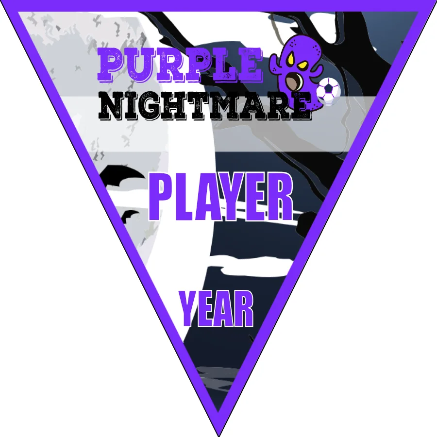 Nightmare Purple Soccer Banner-soccer-banner-stand-pvc-picture