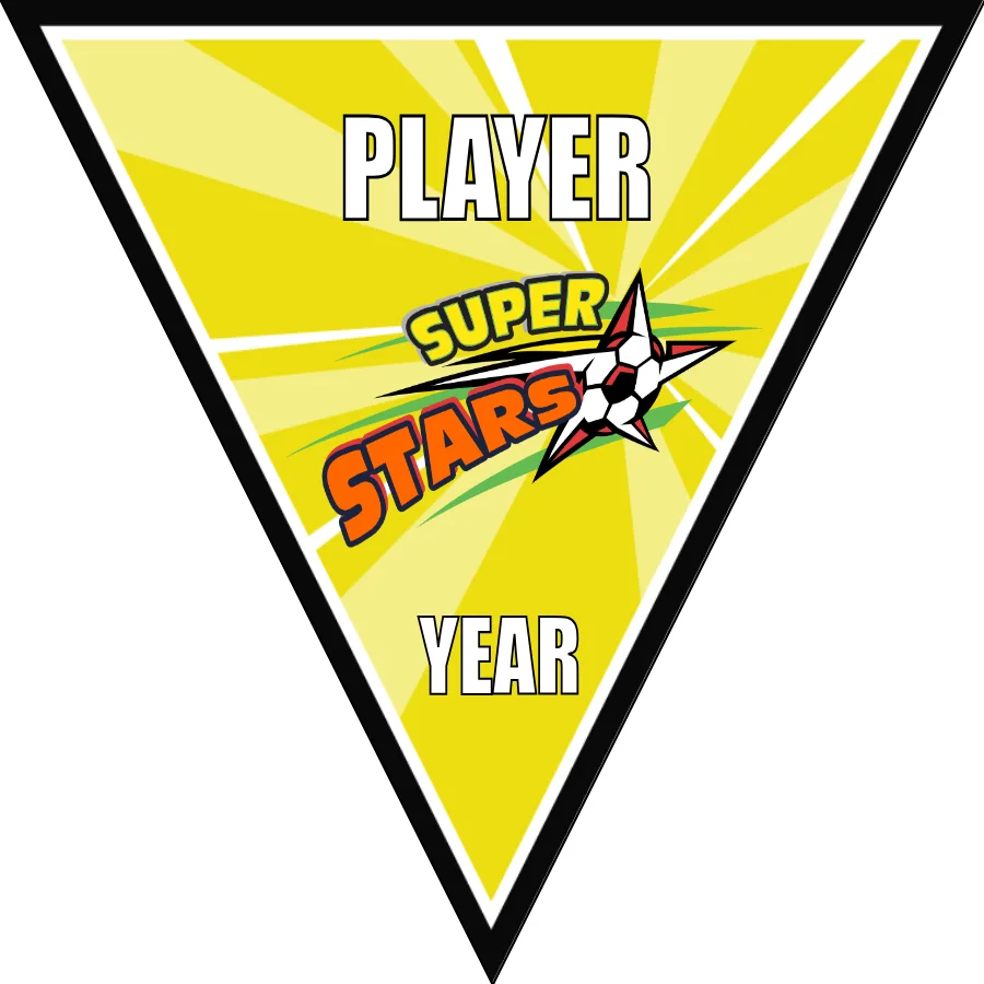 Super Stars Soccer Banner-soccer-ball-banner-picture