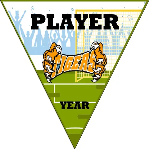 Tigers 3 Soccer Banner-soccer-banners-in-oxnard-picture