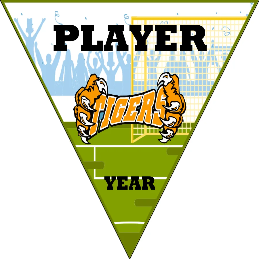 Tigers 3 Soccer Banner-soccer-banners-in-oxnard-picture