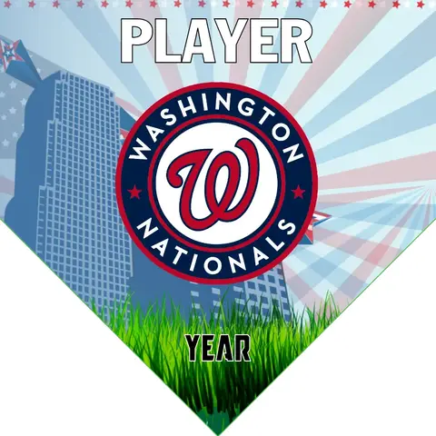 Washington 2 Baseball Banner-baseball-banner-fundraiser-images