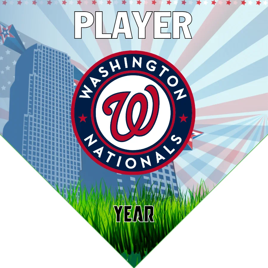 Washington 2 Baseball Banner-baseball-banner-fundraiser-images