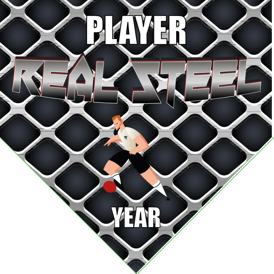 Real Steels 2 Soccer Banner-soccer-team-banner-picture