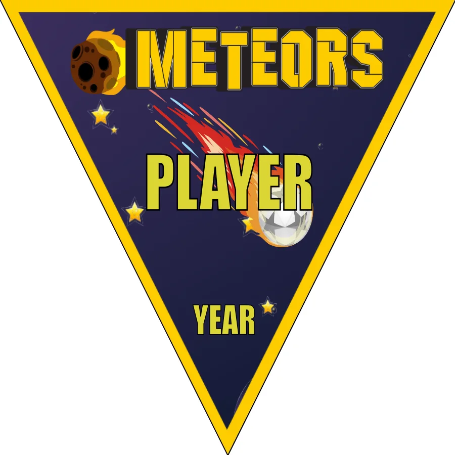 Meteors Soccer Banner-soccer-team-banners-picture