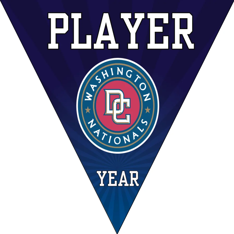 Nationals Baseball Banner