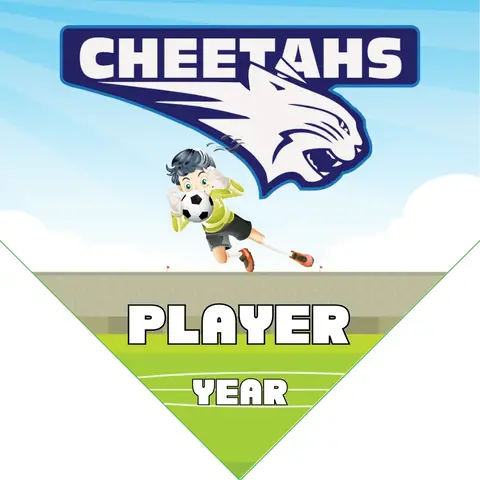 Cheetahs 2 Soccer Banner-free-soccer-banner-maker-picture