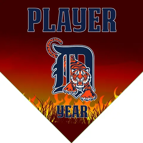Detroit Tigers Baseball Banner-baseball-banner-size-images