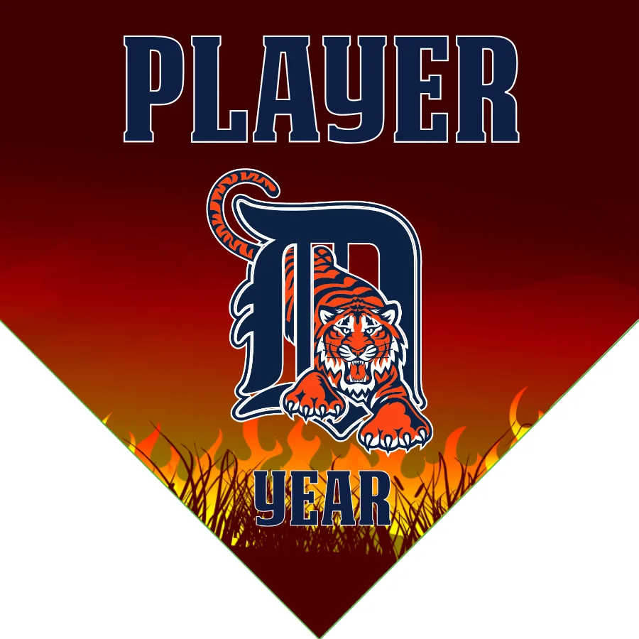 Detroit Tigers Baseball Banner-baseball-banner-size-images