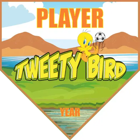 Tweety Bird 2 Soccer Banner-soccer-ball-banner-picture