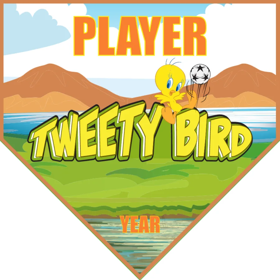 Tweety Bird 2 Soccer Banner-soccer-ball-banner-picture