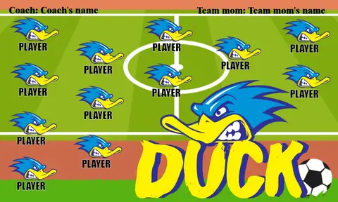 Duck Soccer Banner-soccer-banner-stand-pvc