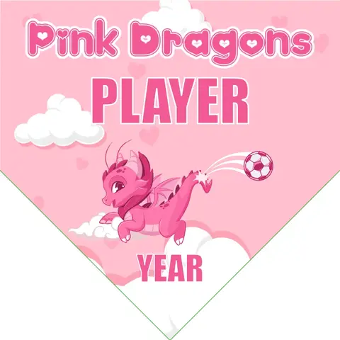 Pink Dragons Soccer Banner-soccer-team-banner-picture