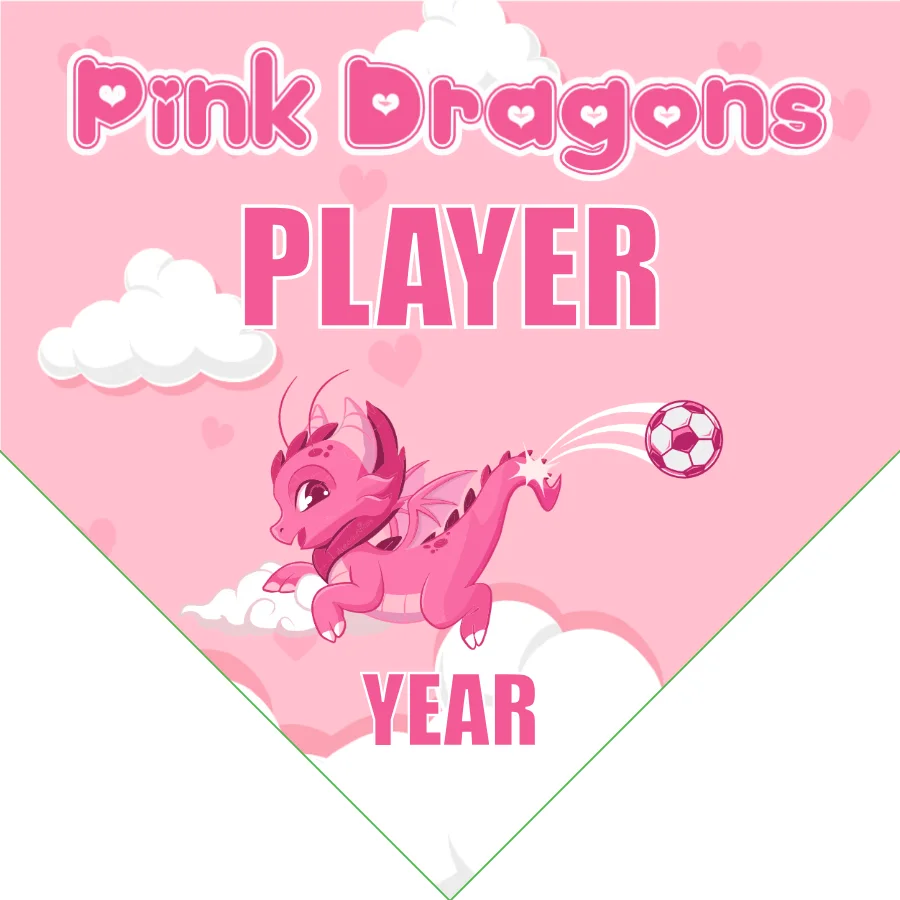 Pink Dragons Soccer Banner-soccer-team-banner-picture