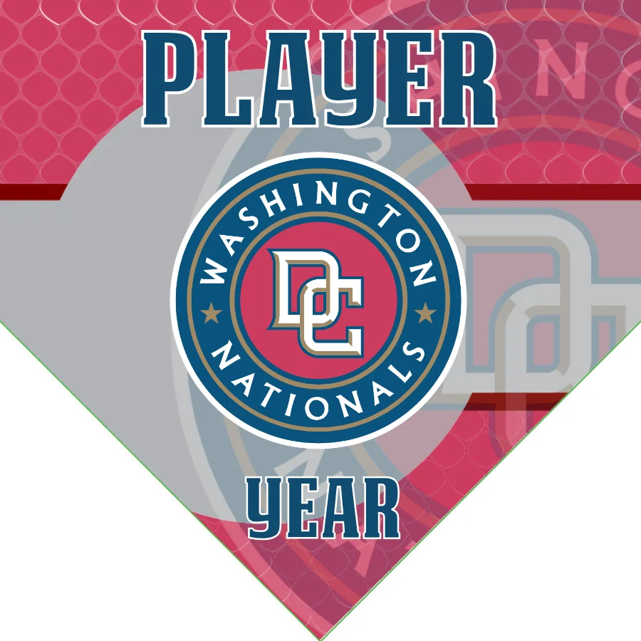 Nationals Baseball Banner-baseball-banner-quotes-images