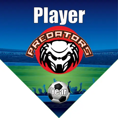 Preadator Soccer Banner-soccer-team-banner-ideas-picture