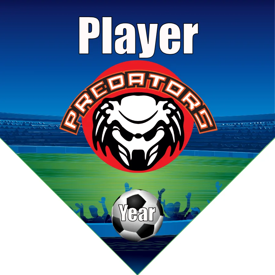 Preadator Soccer Banner-soccer-team-banner-ideas-picture