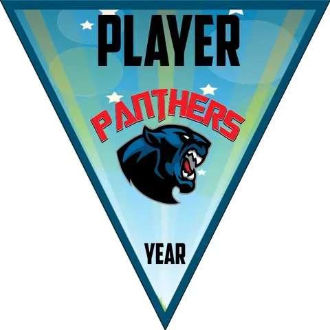 Panthers 1 Softball Banner-softball-banners-templates-picture