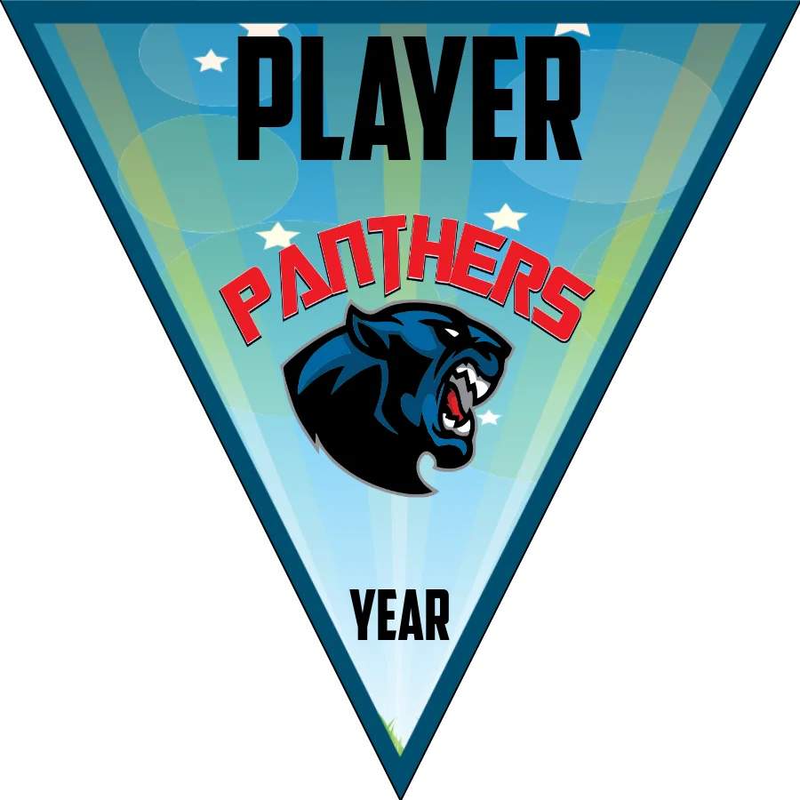 Panthers 1 Softball Banner-softball-banners-templates-picture
