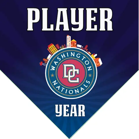 Nationals Baseball Banner-baseball-opening-day-banners-images